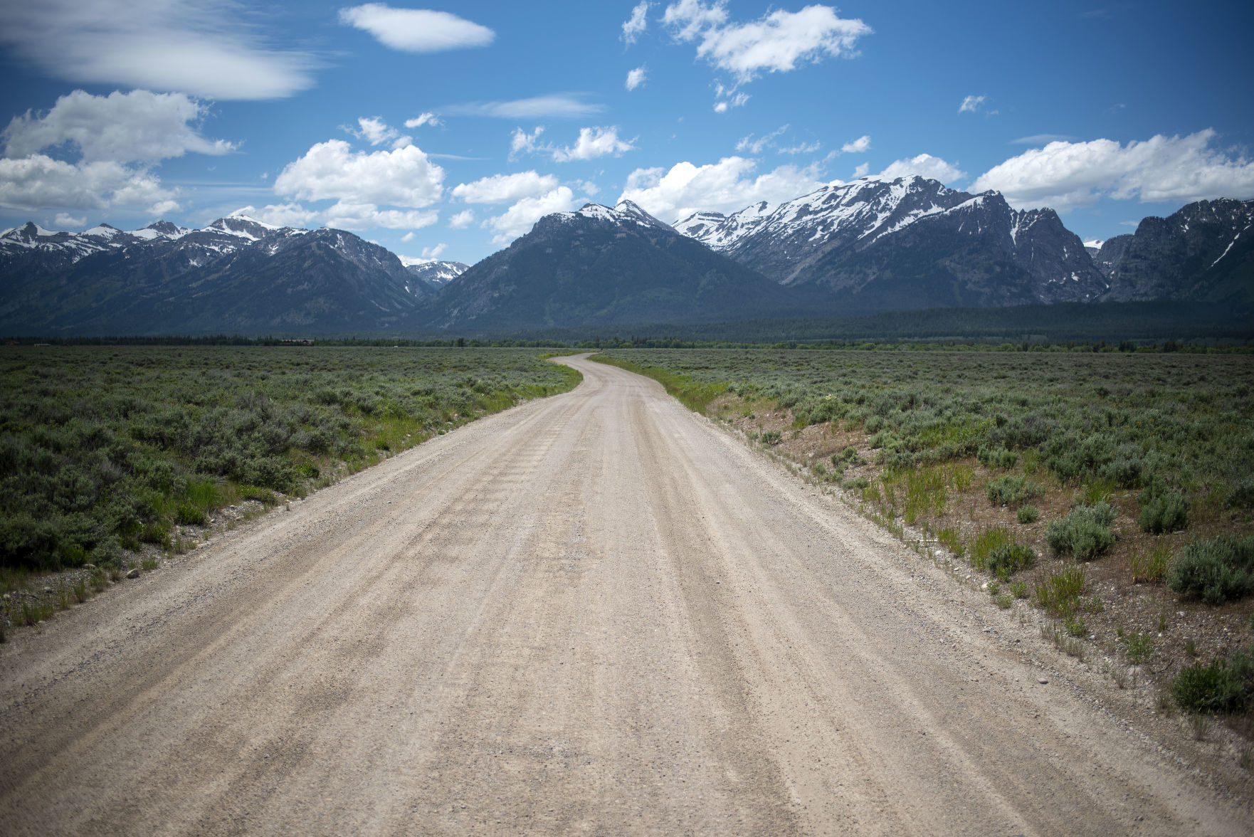 Meadow Road